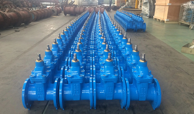 中国 Fengbao Valve Manufacturing Co., Ltd.