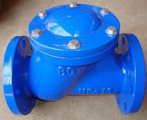 Ggg40延性がある鉄の振動逆止弁DN400 PN16の倍の方法金属の逆止弁