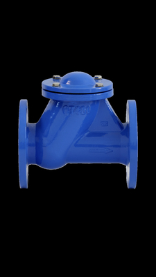 BS DINのボール逆止め弁のゴム製座席GGG50 PN16 QT450廃水オイル ガス